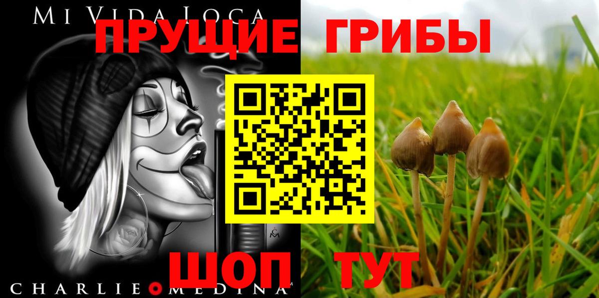 Галлюциногенные грибы Cubensis  Псилоцибиновые грибы Cubensis  Вход с VPN  Ревда 